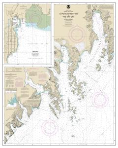 thumbnail for chart Cape Resurrection to Two Arm Bay;Seward,